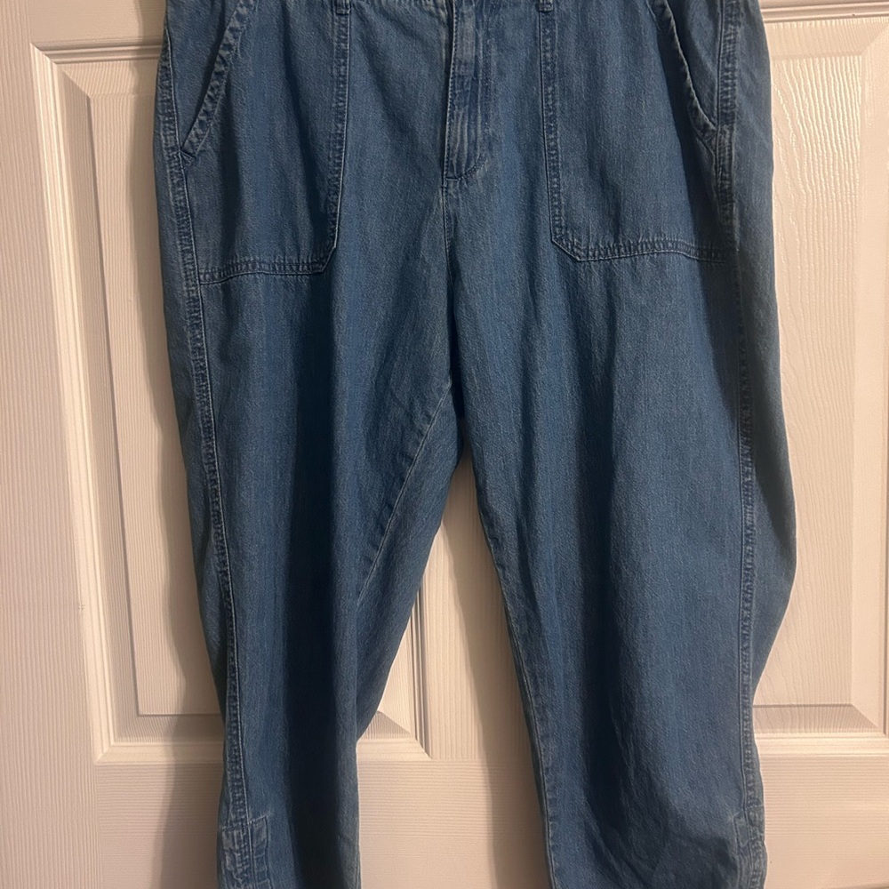 Sz 14 Wo
Ens Style & Co Casual Blue Denim Pants